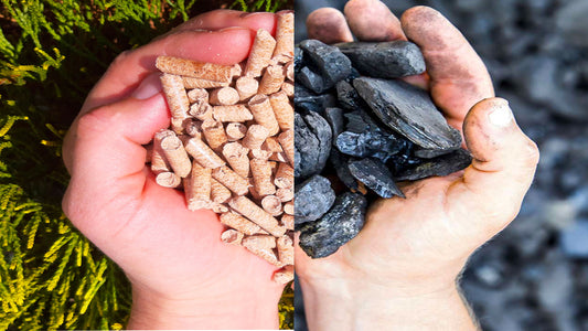 Comparaison des deux combustibles de chauffage, pellet et charbon dans des mains jointes 